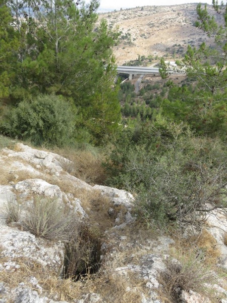 קובץ:פתחבקרנה.jpg