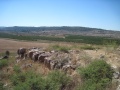 תמונה ממוזערת לגרסה מתאריך 12:39, 11 בספטמבר 2013