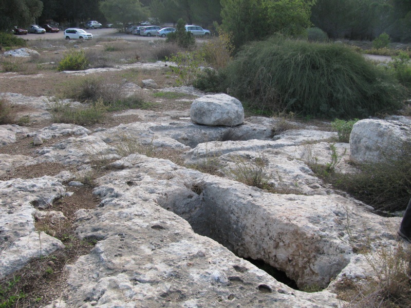 קובץ:קיברות המקבים וטיטורה 002.jpg