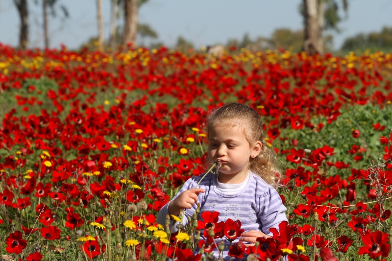 קובץ:רפי בביאן (1).JPG