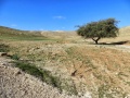 תמונה ממוזערת לגרסה מתאריך 14:20, 11 באפריל 2015