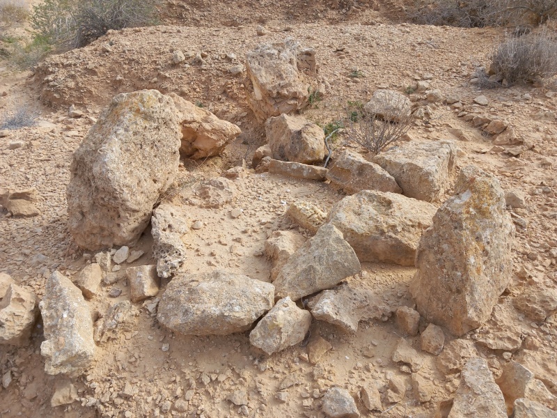 קובץ:שנימעגליפלחן.jpg