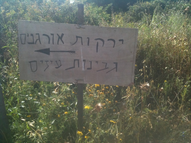 קובץ:2011.05.10-084508.496.iphone.jpg