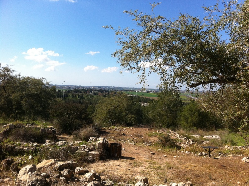 קובץ:2012.02.11-125111.874.iphone.jpg