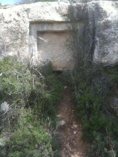 קובץ:2012.02.23-115824.601.iphone.jpg