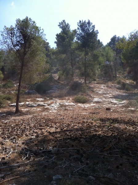 קובץ:2012.09.1-141617.354.iphone.jpg