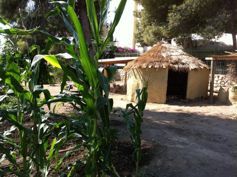 קובץ:2012.10.25-101953.988.iphone.jpg