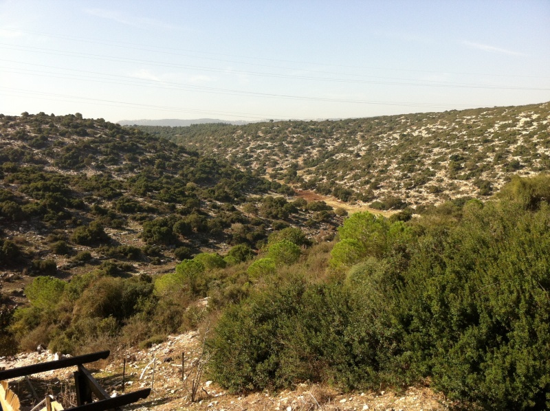 קובץ:2012.11.4-100618.168.iphone.jpg