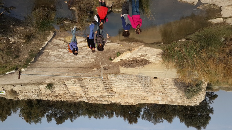 קובץ:2013-12-28 13.09.05.jpg