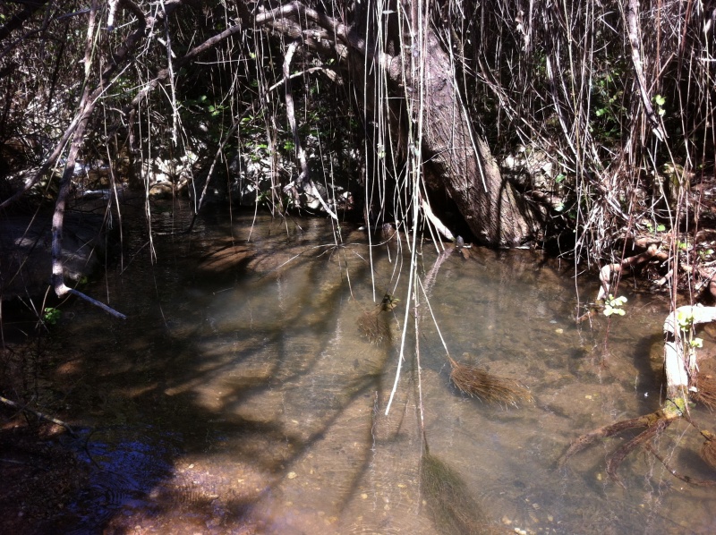 קובץ:2013.03.25-093121.715.iphone.jpg