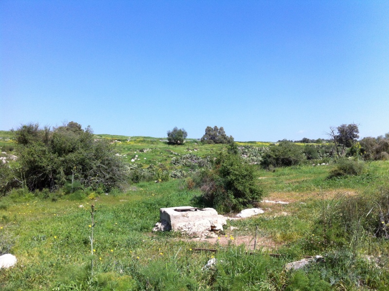 קובץ:2013.03.9-125036.249.iphone.jpg