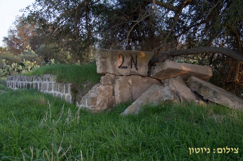 קובץ:2013 01 26-2276.jpg