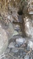תמונה ממוזערת לגרסה מתאריך 11:30, 10 באוקטובר 2014