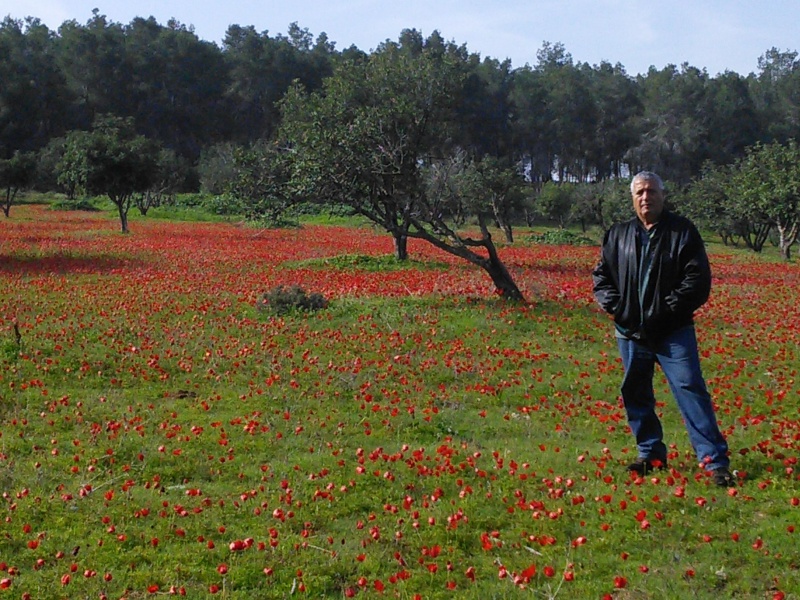 קובץ:2015.02.04-102137.779.android.jpg