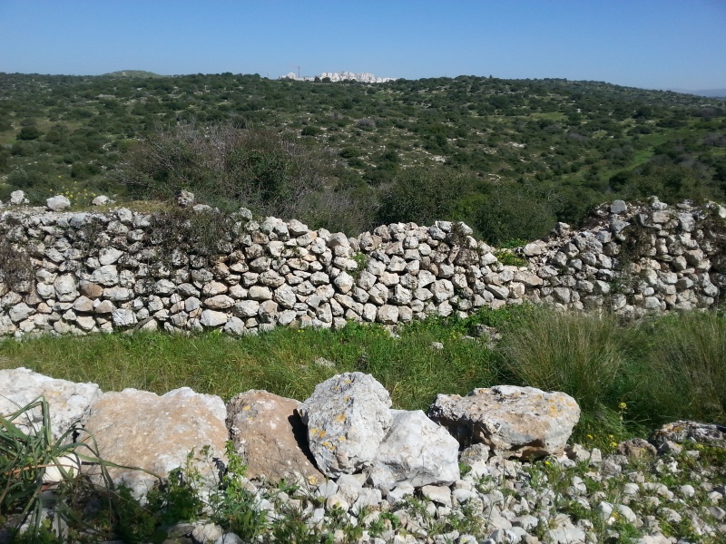 קובץ:2015.03.06-140102.039.android.jpg