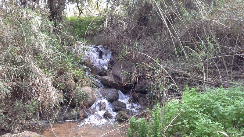 קובץ:2015.03.21-073336.538.android.jpg