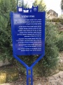 תמונה ממוזערת לגרסה מתאריך 16:15, 3 במרץ 2015