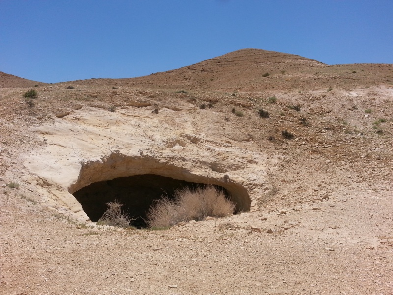 קובץ:2015.05.02-135044.867.android.jpg