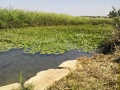 תמונה ממוזערת לגרסה מתאריך 22:17, 10 בדצמבר 2015