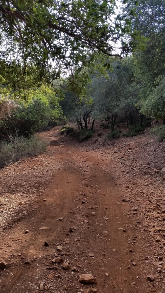 קובץ:2015.10.03-095922.634.android.jpg