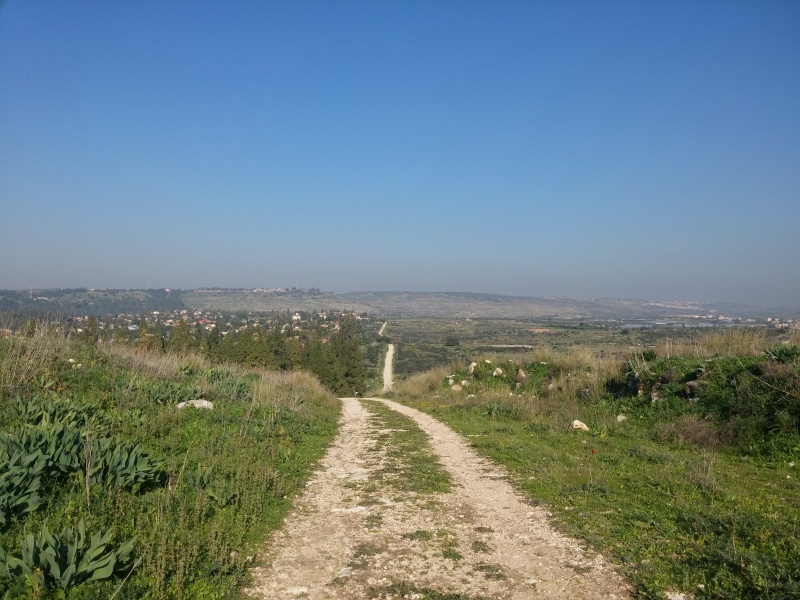 קובץ:2016.01.13-150824.393.android.jpg