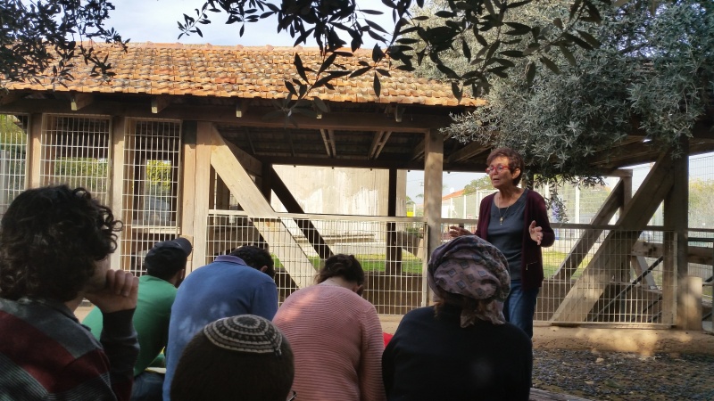 קובץ:2016.01.21-150821.107.android.jpg