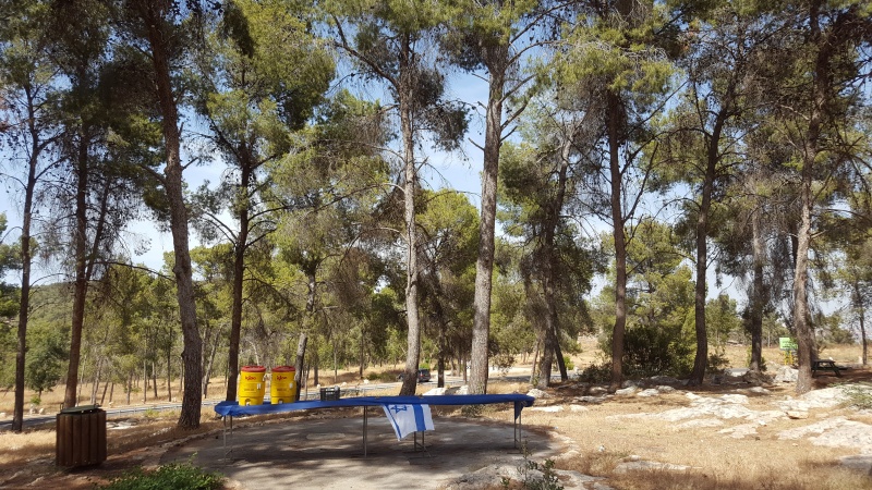 קובץ:2016.05.21-161307.589.android.jpg