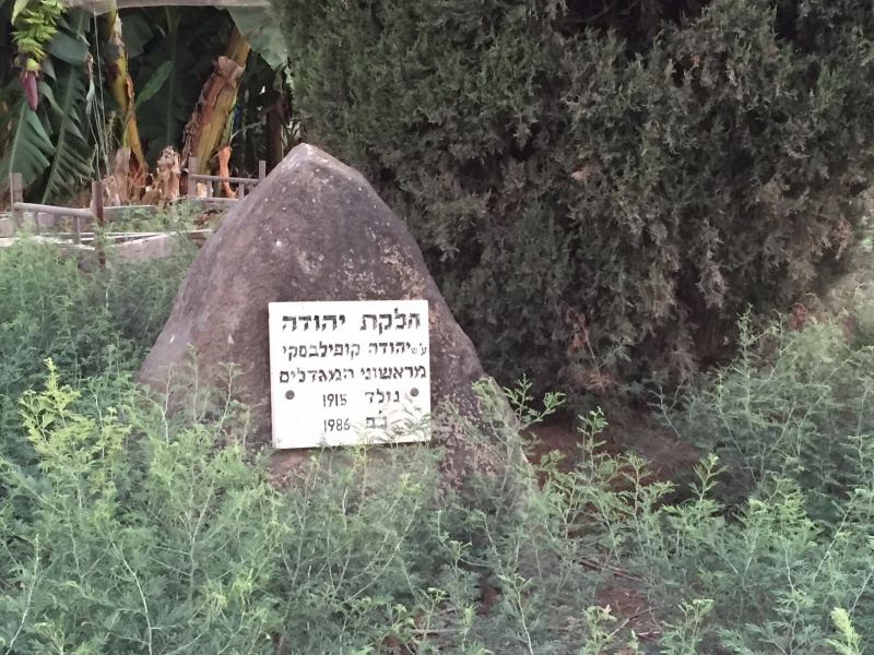 קובץ:2016.08.20-191818.594.iphone.jpg