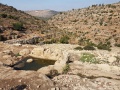 תמונה ממוזערת לגרסה מתאריך 18:47, 26 באוגוסט 2016