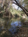 תמונה ממוזערת לגרסה מתאריך 08:50, 29 באוקטובר 2016