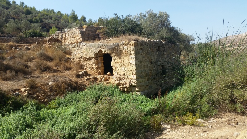 קובץ:2016.11.04-113548.445.android.jpg