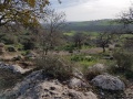 תמונה ממוזערת לגרסה מתאריך 06:26, 18 בינואר 2017