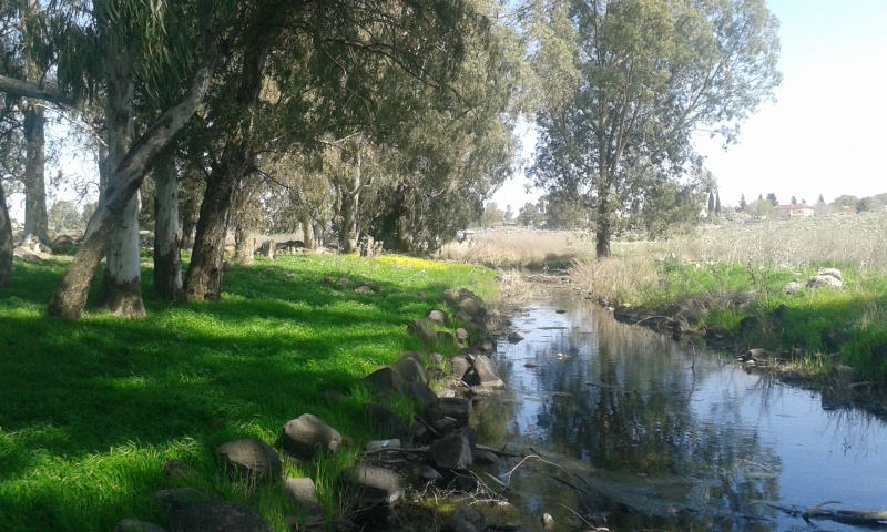 קובץ:2017.02.26-130658.086.android.jpg