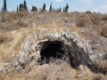 תמונה ממוזערת לגרסה מתאריך 08:57, 14 באוגוסט 2017