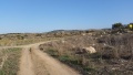 תמונה ממוזערת לגרסה מתאריך 17:31, 8 בדצמבר 2017