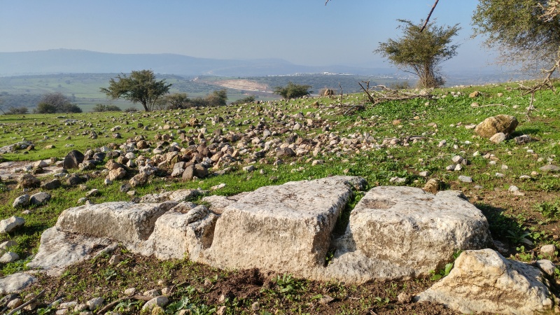 קובץ:2018.02.01-093836.090.android.jpg