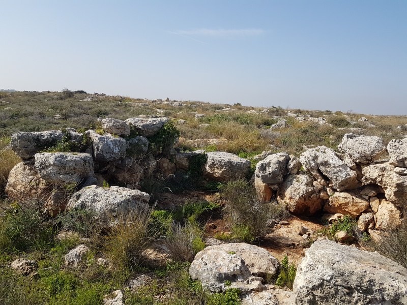 קובץ:2018.02.02-115326.350.android.jpg