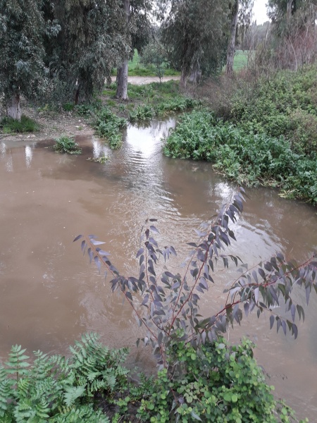 קובץ:2018.02.18-160111.041.android.jpg