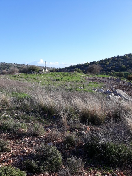 קובץ:2018.02.27-171829.805.android.jpg