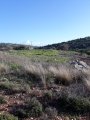 תמונה ממוזערת לגרסה מתאריך 14:51, 27 בפברואר 2018