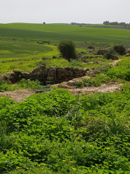 קובץ:2018.03.01-140709.820.android.jpg