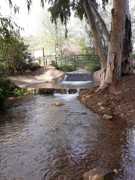 קובץ:2018.03.06-165513.213.android.jpg