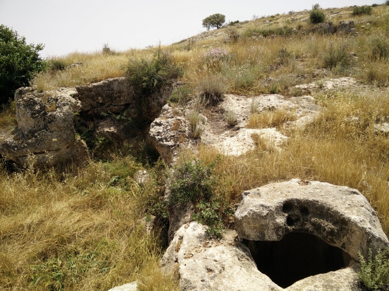 קובץ:2018.05.05-130457.594.android.jpg