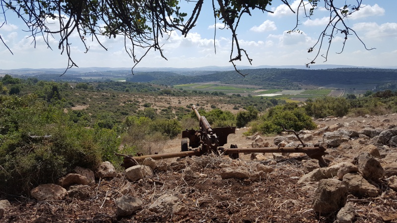 קובץ:2018.07.21-113109.910.android.jpg