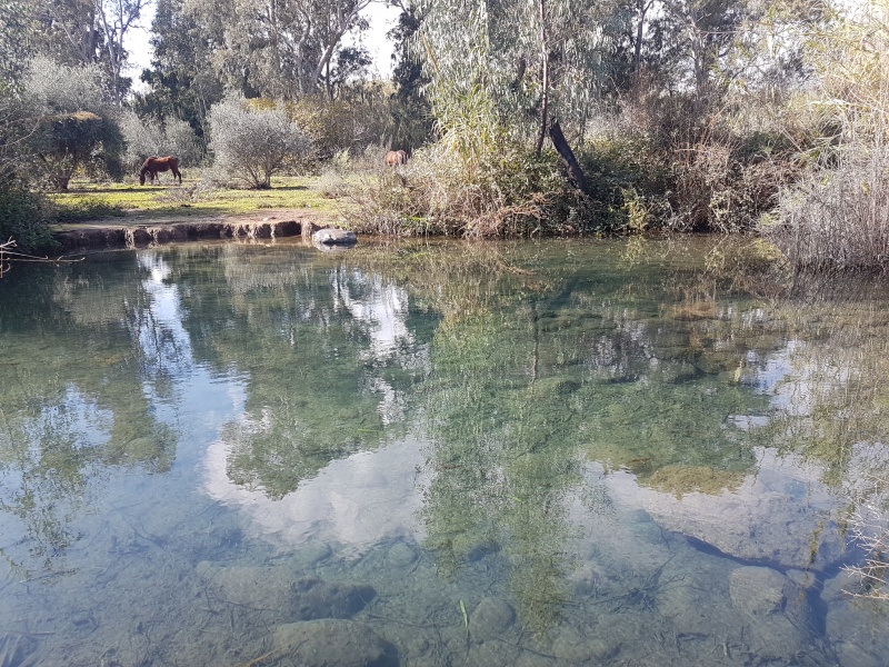 קובץ:2018.12.22-124731.965.android.jpg