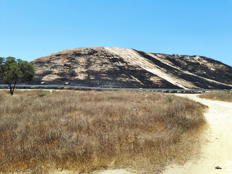 קובץ:20180622 131515BurnedGama.jpg