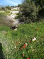 תמונה ממוזערת לגרסה מתאריך 19:12, 29 באפריל 2019