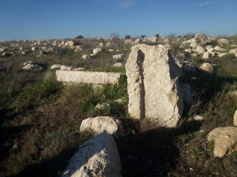 קובץ:2019.01.12-162511.790.android.jpg