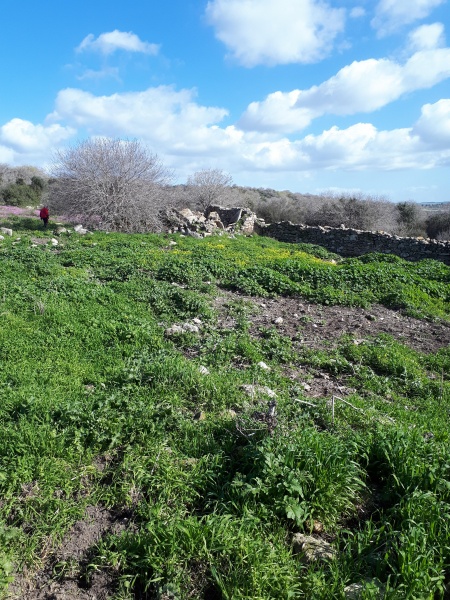 קובץ:2019.02.02-111933.713.android.jpg