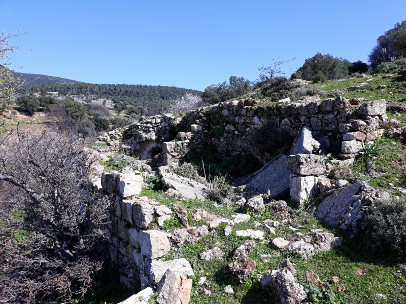 קובץ:2019.02.05-122648.543.android.jpg